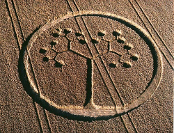 Life-tree